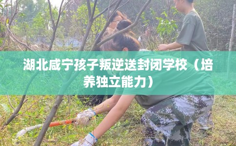 湖北咸宁孩子叛逆送封闭学校（培养独立能力）