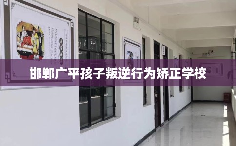邯郸广平孩子叛逆行为矫正学校