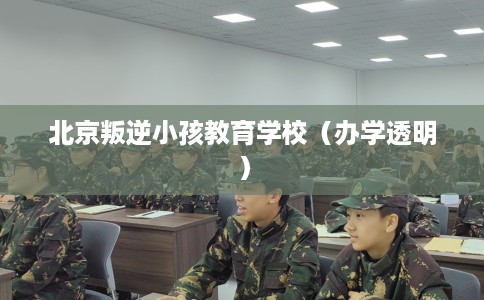 北京叛逆小孩教育学校（办学透明）