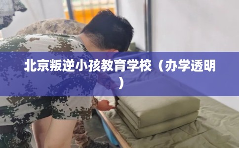 北京叛逆小孩教育学校（办学透明）