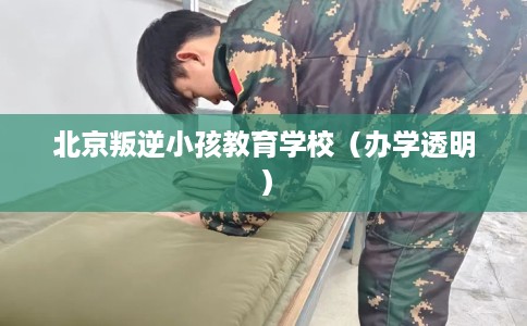 北京叛逆小孩教育学校（办学透明）