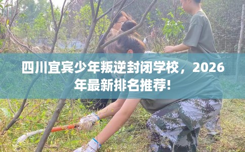四川宜宾少年叛逆封闭学校，2026年最新排名推荐!