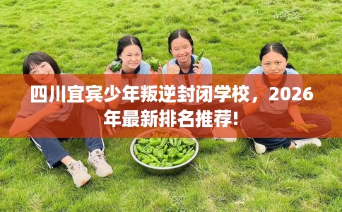 四川宜宾少年叛逆封闭学校，2026年最新排名推荐!