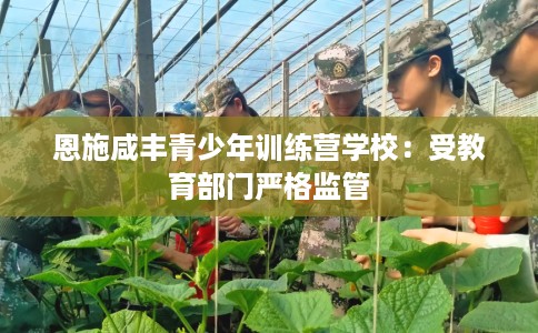 恩施咸丰青少年训练营学校：受教育部门严格监管