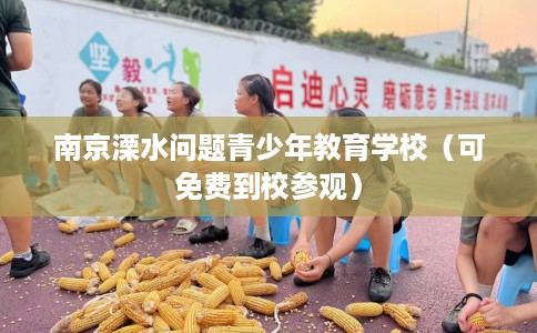 南京溧水问题青少年教育学校（可免费到校参观）