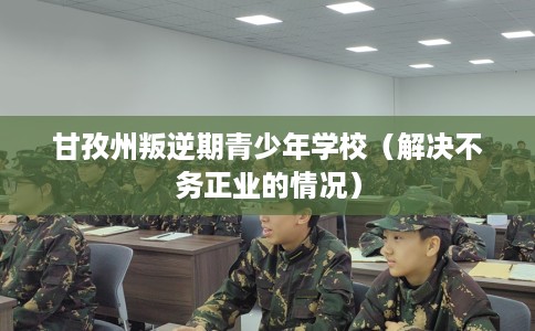 甘孜州叛逆期青少年学校（解决不务正业的情况）