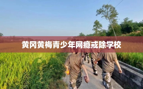 黄冈黄梅青少年网瘾戒除学校