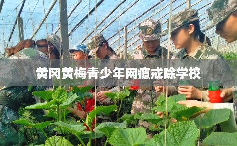 黄冈黄梅青少年网瘾戒除学校
