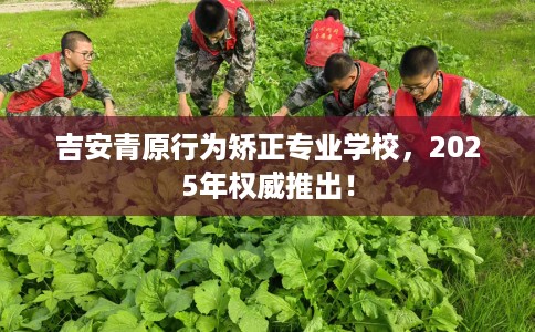 吉安青原行为矫正专业学校，2025年权威推出！
