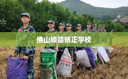 佛山顺德矫正学校