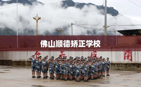 佛山顺德矫正学校