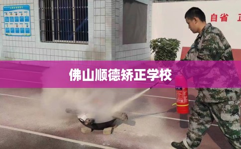 佛山顺德矫正学校
