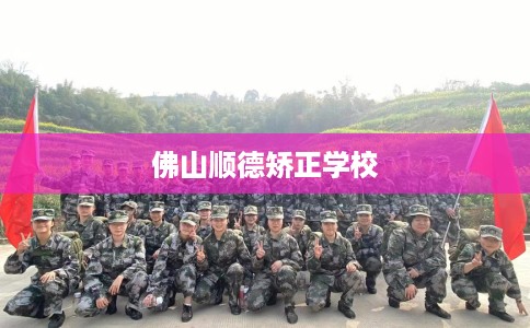 佛山顺德矫正学校