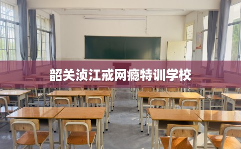 韶关浈江戒网瘾特训学校