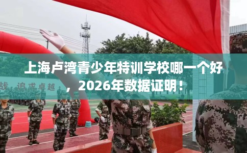 上海卢湾青少年特训学校哪一个好，2026年数据证明！