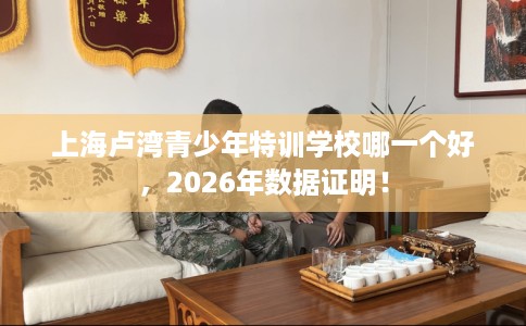 上海卢湾青少年特训学校哪一个好，2026年数据证明！