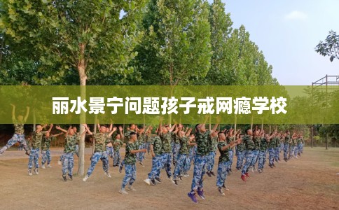 丽水景宁问题孩子戒网瘾学校