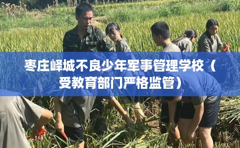 枣庄峄城不良少年军事管理学校（受教育部门严格监管）