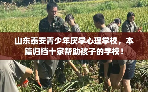 山东泰安青少年厌学心理学校，本篇归档十家帮助孩子的学校！