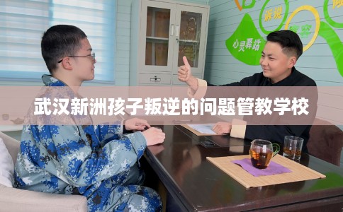 武汉新洲孩子叛逆的问题管教学校