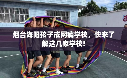 烟台海阳孩子戒网瘾学校，快来了解这几家学校!