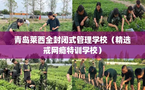 青岛莱西全封闭式管理学校（精选戒网瘾特训学校）