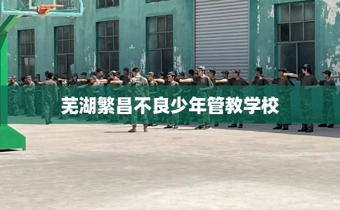 芜湖繁昌不良少年管教学校