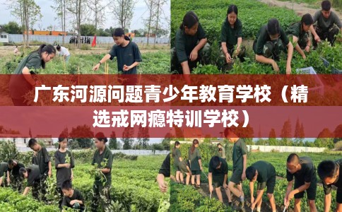 广东河源问题青少年教育学校（精选戒网瘾特训学校）