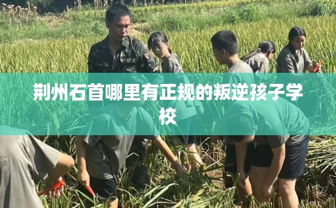 荆州石首哪里有正规的叛逆孩子学校