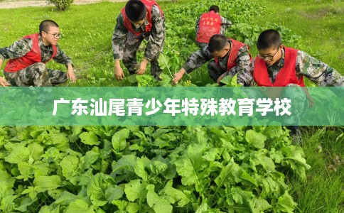 广东汕尾青少年特殊教育学校