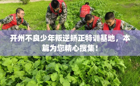 开州不良少年叛逆矫正特训基地，本篇为您精心搜集！