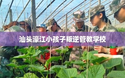 汕头濠江小孩子叛逆管教学校