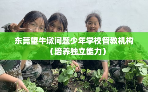 东莞望牛墩问题少年学校管教机构（培养独立能力）