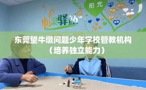 东莞望牛墩问题少年学校管教机构（培养独立能力）