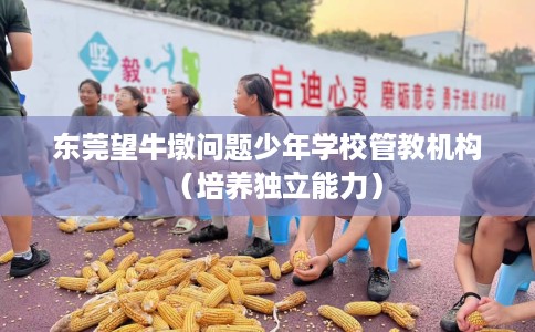 东莞望牛墩问题少年学校管教机构（培养独立能力）
