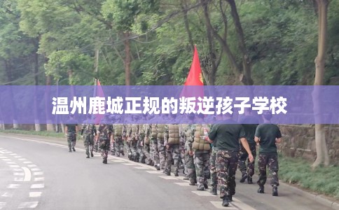温州鹿城正规的叛逆孩子学校