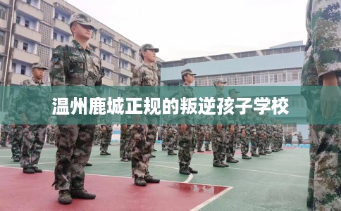 温州鹿城正规的叛逆孩子学校