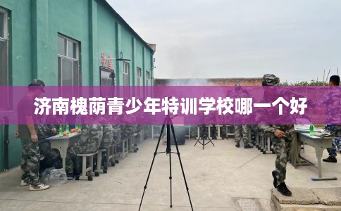 济南槐荫青少年特训学校哪一个好