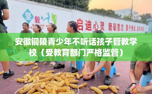 安徽铜陵青少年不听话孩子管教学校（受教育部门严格监管）