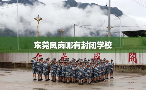 东莞凤岗哪有封闭学校