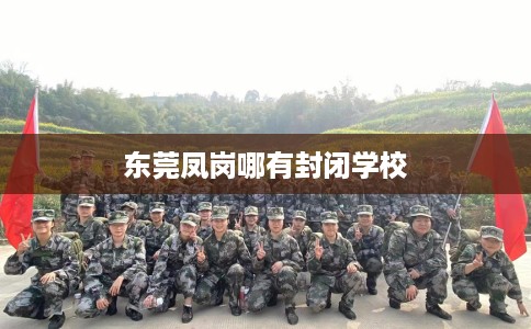东莞凤岗哪有封闭学校