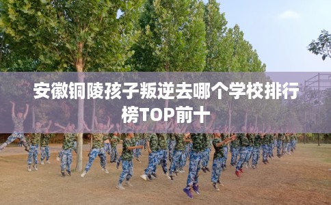 安徽铜陵孩子叛逆去哪个学校排行榜TOP前十