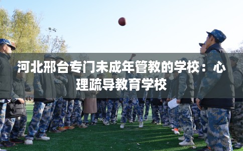 河北邢台专门未成年管教的学校：心理疏导教育学校