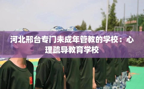 河北邢台专门未成年管教的学校：心理疏导教育学校