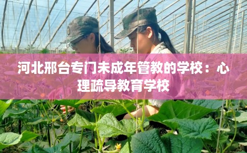河北邢台专门未成年管教的学校：心理疏导教育学校