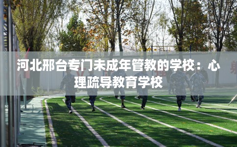 河北邢台专门未成年管教的学校：心理疏导教育学校