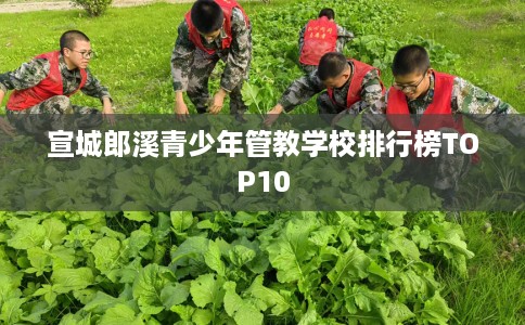 宣城郎溪青少年管教学校排行榜TOP10