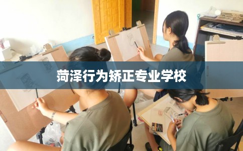 菏泽行为矫正专业学校