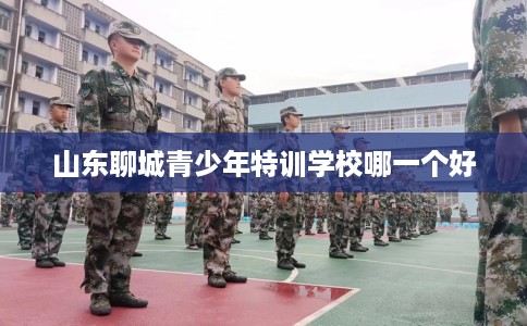 山东聊城青少年特训学校哪一个好