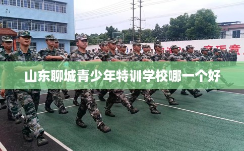 山东聊城青少年特训学校哪一个好